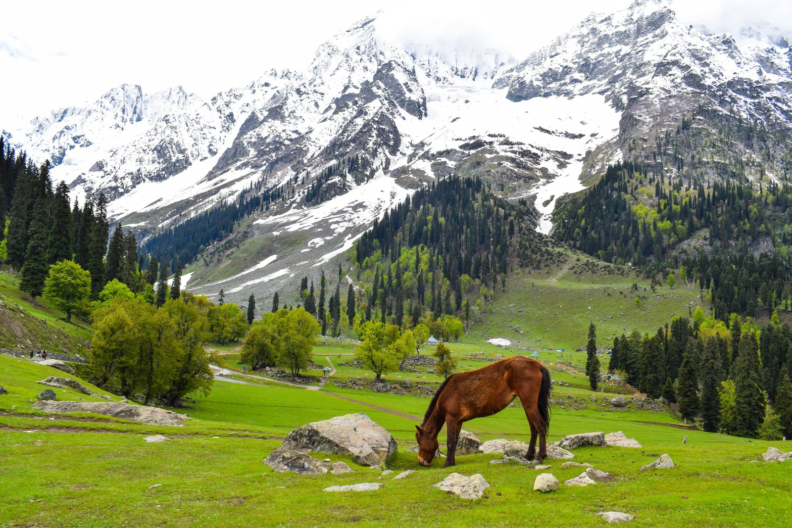 Kashmir Getaway - 5 Days Scenic Tour