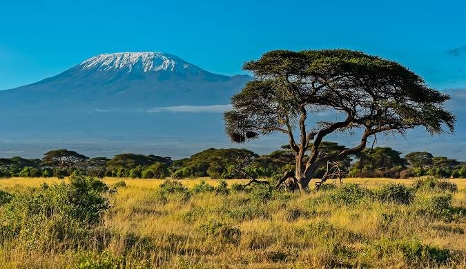 Kenya Wildlife Safari - 7 Days Adventure