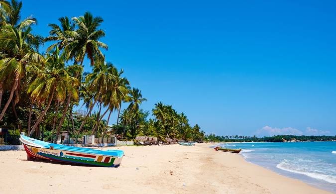 Sri Lanka Highlights - 6 Days Scenic Tour
